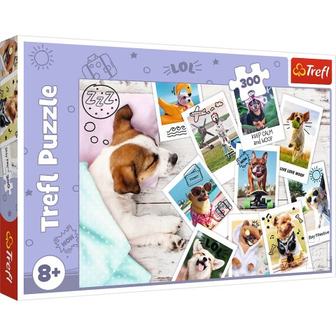 Puzzle - "300" - Zdjęcia z wakacji / Trefl 23003