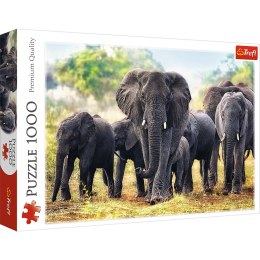 Puzzle - 