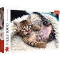 Puzzle - "1000" - Wesoły kotek Trefl 10448