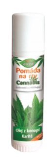 Pomadka do ust - BIONE - 5ml