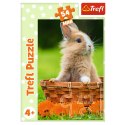 Puzzle - 54 mini - Urocze zwierzątka - Trefl 54195