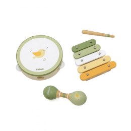 VIGA PolarB Zestaw Instrumentów Muzycznych Zielony