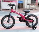Qplay Rowerek Dziecięcy - Rowerek Biegowy Miniby 14 cali Blue