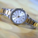 ZEGAREK DAMSKI CASIO LTP-1303SG-7A (zd591e) + BOX