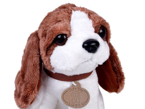 Maskotka PIESEK BEAGLE w torebce - pluszowa przytulanka pies ZA5856