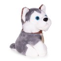 Pluszowy piesek w torebce husky maskotka dla dziecka + szczotka do pielęgnacji
