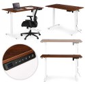 Biurko elektryczne regulowane 120x60 cm regulacja wysokości 72-117 cm ModernHome