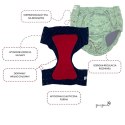 Majtki Poporodowe z wymiennym Wkładem - ZIELONO MI XL/2XL