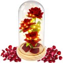Wieczne Róże W Szklanej Kopule Oświetlenie LED Czerwone 21,5 x 11 cm