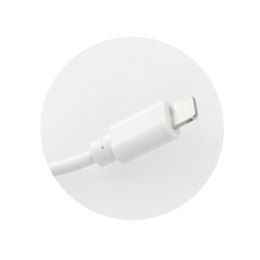 Ładowarka sieciowa do telefonu Blue Star USB A 1A 5W + kabel USB A do Lightning TFK-TC-1100B biała