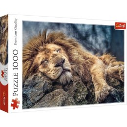 Puzzle 1000 Śpiący lew TREFL