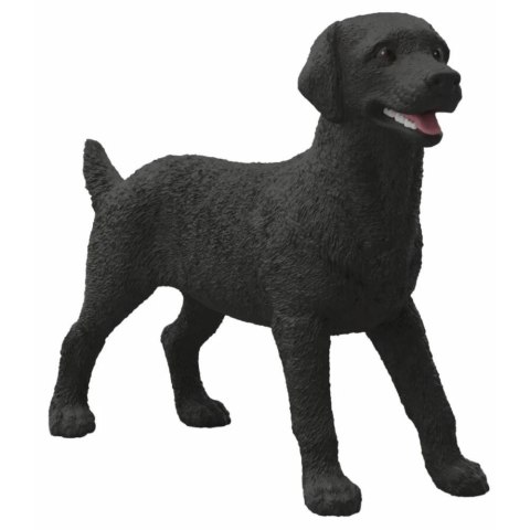 Czarny Labrador suczka