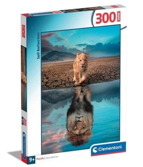 Puzzle 300 Super Self Reflection