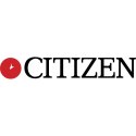 Zegarek Męski Citizen NJ0150-56Z