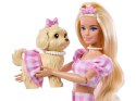Mattel Lalka Barbie Twining Looks - na spacerze z pieskiem ZA6701