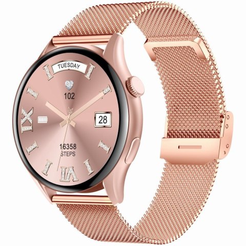 SMARTWATCH DAMSKI GRAVITY GT11-7 - AMOLED, DODATKOWY PASEK (sg044g)