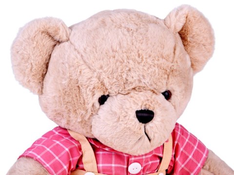 Pluszowy MIŚ - beżowy Filip 58cm w różowej VINTAGE koszuli ZA5923 A