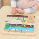 MASTERKIDZ Drewniana Tablica Cykl Życia Fasoli