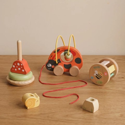 TOOKY TOY Zestaw Biedronka do Zabawy Rozwojowej 3w1
