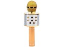 Mikrofon bezprzewodowy karaoke głośnik modulacja głosu bluetooth IN0136