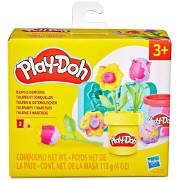 Ciastolina Małe Kwiatki Play-Doh mix