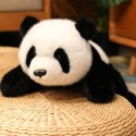 WOOPIE Panda Miś Obciążeniowy Sensoryczny 2,5kg