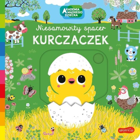 Kurczaczek. Akademia mądrego dziecka