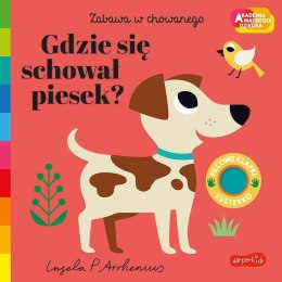 Gdzie się schował piesek? Akademia mądrego dziecka