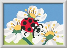 CreArt dla dzieci: Wild Animals Biedronka