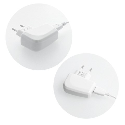 Ładowarka sieciowa do telefonu Blue Star Lite USB A 1A 5W + kabel USB A do Lightning TFK-TC-1095B biała
