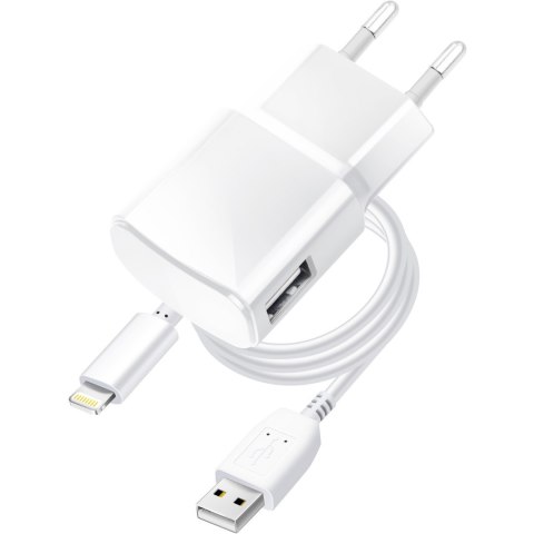 Ładowarka sieciowa do telefonu Blue Star USB A 1A 5W + kabel USB A do Lightning TFK-TC-1100B biała
