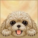 NIMMY futerał BIG EYED LYING TEDDY POODLE kompatybilny z MagSafe do IPHONE 18 Pro/17 Pro brązowy