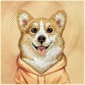 NIMMY futerał GENTLE PETS SERIES DOG kompatybilny z MagSafe do IPHONE 18 Pro/17 Pro pomarańczowy