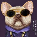NIMMY futerał GLASSES COOL DOG do IPHONE 18 Pro Max/17 Pro Max fioletowy