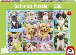 Puzzle 200 Szczeniaczki G3