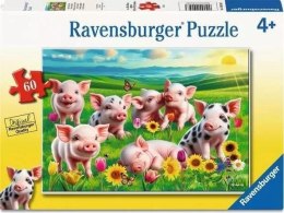 Puzzle 2D 60 Prosiaczki