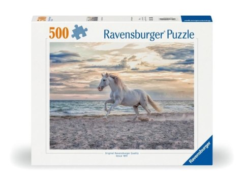Puzzle 2D: Galop na plaży 500el
