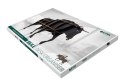 EWA Drewniane Puzzle 3D - Organizer Byk