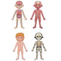 Tooky Toy Drewniane Puzzle Magnetyczne Nauka Anatomia Człowieka 78el.
