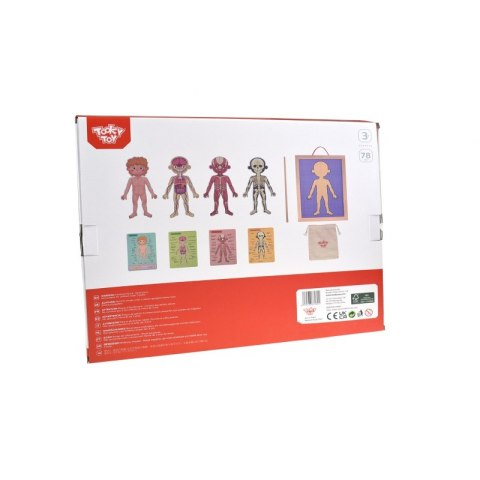 Tooky Toy Drewniane Puzzle Magnetyczne Nauka Anatomia Człowieka 78el.