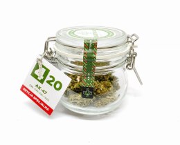 CBD Kwiaty Konopi 