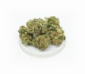 CBD Kwiaty Konopi "Amnesia" 0,3 g