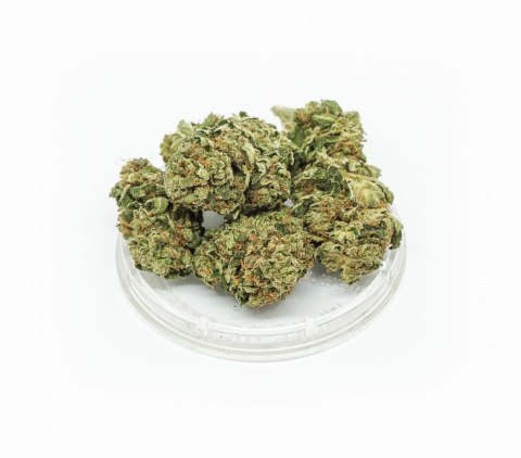 CBD Kwiaty Konopi "Amnesia" 0,3 g