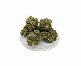 CBD Kwiaty Konopi 