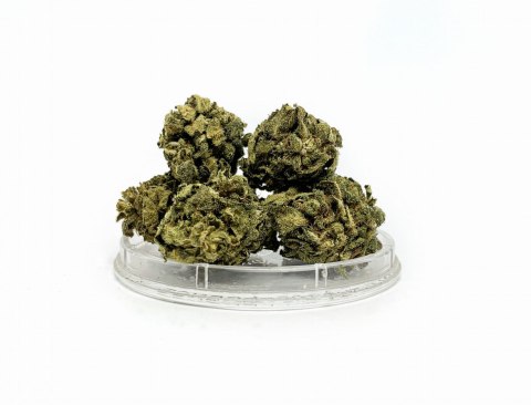 CBD Kwiaty Konopi "Black Buddha" 4,20 g