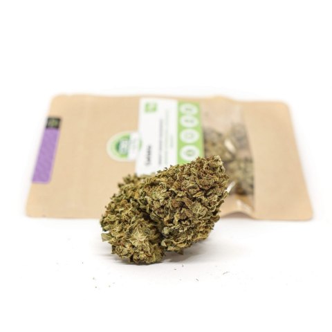 CBD Kwiaty Konopi "Blackberry" 2 g