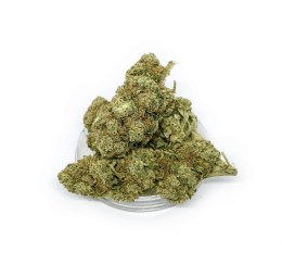 CBD Kwiaty Konopi 