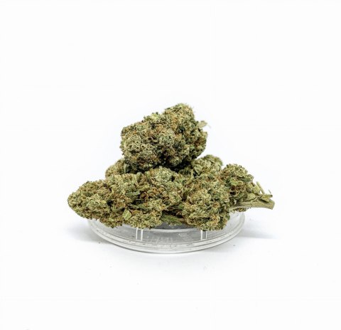 CBD Kwiaty Konopi "Bubble Gum" 4,20 g