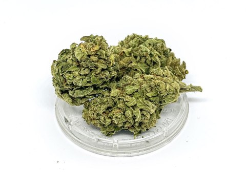 CBD Kwiaty Konopi "Citron" 0,3 g
