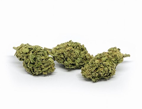 CBD Kwiaty Konopi "Citron" 0,3 g